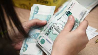 Светлана Бессараб - В Госдуме прокомментировали идею повысить МРОТ до 20 тысяч рублей - russian.rt.com