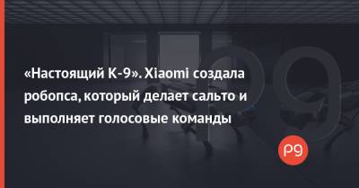 «Настоящий К-9». Xiaomi создала робопса, который делает сальто и выполняет голосовые команды - thepage.ua - Китай - США - Украина - Boston