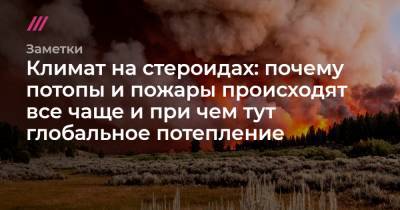 Климат на стероидах: почему потопы и пожары происходят все чаще и при чем тут глобальное потепление - tvrain.ru