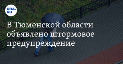 В Тюменской области объявлено штормовое предупреждение - ura.news - Тюменская обл.