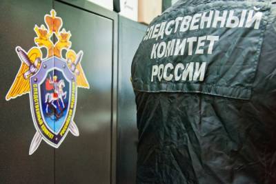 СК возбудил дело после смерти 12-летнего мальчика под Волгоградом - volg.mk.ru - Волгоград - Волгоградская обл.