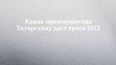 Какие преимущества Татарстану даст траса М12 - chelny-izvest.ru - Москва - респ. Татарстан - Казань - район Лаишевский