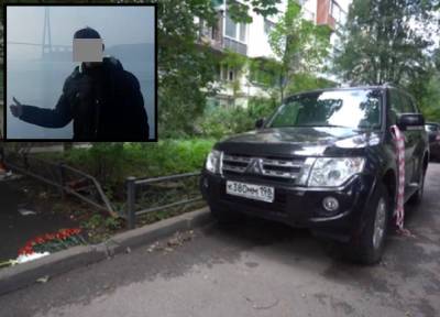 По делу умершего «от шлепка» студента в Петербурге задержан владелец внедорожника - province.ru - Санкт-Петербург