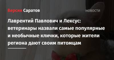 Лаврентий Павлович и Лексус: ветеринары назвали самые популярные и необычные клички, которые жители региона дают своим питомцам - nversia.ru - Саратовская обл.