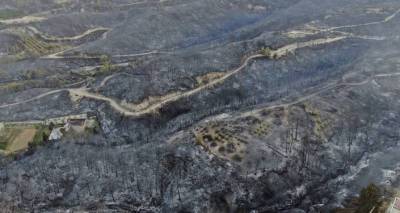 Омер Челик - Какой ущерб нанесли экономике Турции лесные пожары: статистика - ru.armeniasputnik.am - Армения - Турция
