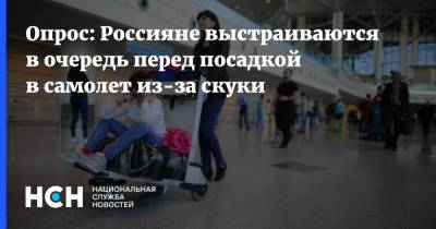 Опрос: Россияне выстраиваются в очередь перед посадкой в самолет из-за скуки - nsn.fm - Россия
