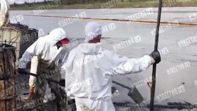 В РАН уточнили площадь разлива нефти под Новороссийском - iz.ru - Россия - Израиль - Новороссийск