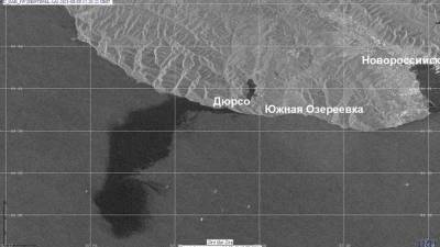 Ученые РАН: площадь разлива нефти в море у Новороссийска занижена в сотни тысяч раз - newdaynews.ru - Россия - Новороссийск