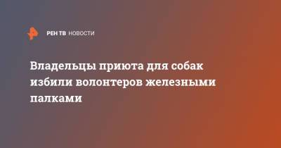 Владельцы приюта для собак избили волонтеров железными палками - ren.tv - Московская обл. - Московская область