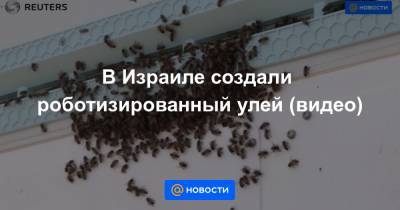 В Израиле создали роботизированный улей (видео) - news.mail.ru - Израиль
