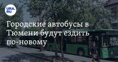 Городские автобусы в Тюмени будут ездить по-новому. Схема движения - ura.news - Тюмень