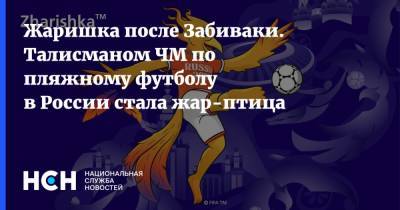 Жаришка после Забиваки. Талисманом ЧМ по пляжному футболу в России стала жар-птица - nsn.fm - Москва - Россия