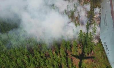 Площадь лесных пожаров в башкирском Зауралье выросла до 4,1 тыс. га - interfax-russia.ru - Башкирия - район Дуванский
