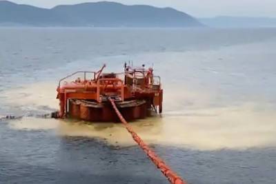 Эколог WWF оценил объем разлитой под Новороссийском нефти - lenta.ru - Россия - Новороссийск - Экология