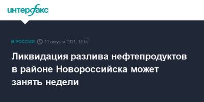 Ликвидация разлива нефтепродуктов в районе Новороссийска может занять недели - interfax.ru - Москва - Россия - Новороссийск - Черное Море