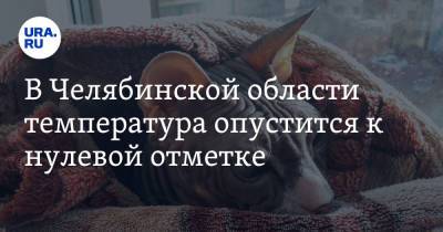 В Челябинской области температура опустится к нулевой отметке. Скрин - ura.news - Челябинская обл. - Экология