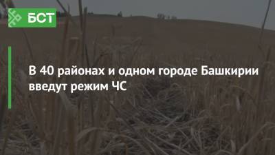Радий Хабиров - В 40 районах и одном городе Башкирии введут режим ЧС - bash.news - Башкирия - Кумертау