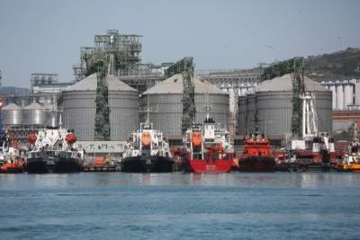 Площадь разлива нефти в море под Новороссийском была занижена в сотни тысяч раз - interfax-russia.ru - Россия - Новороссийск