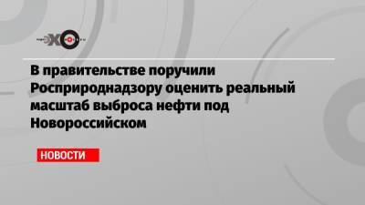 Виктория Абрамченко - В правительстве поручили Росприроднадзору оценить реальный масштаб выброса нефти под Новороссийском - echo.msk.ru - Россия - Новороссийск