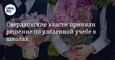 Павел Креков - Свердловские власти приняли решение по удаленной учебе в школах - ura.news - Свердловская обл.