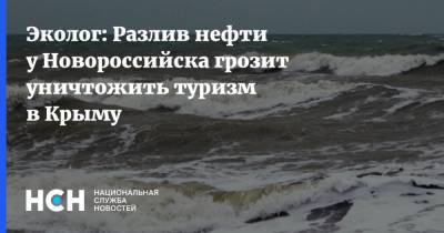 Эколог: Разлив нефти у Новороссийска грозит уничтожить туризм в Крыму - nsn.fm - Крым - Новороссийск - Черное Море - Экология
