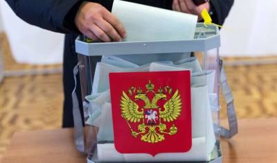 Сергей Лавров - Игорь Минтусов: кто на самом деле делегитимирует выборы в Госдуму - newizv.ru - Россия