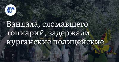 Вандала, сломавшего топиарий, задержали курганские полицейские - ura.news - Россия - Курганская обл. - Курган
