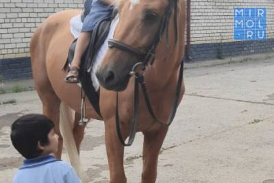 Сотрудники Центра соцобслуживания в Каспийске организовали поездку в конный клуб для детей с ОВЗ - mirmol.ru - Каспийск