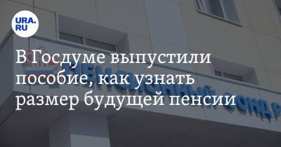 В Госдуме выпустили пособие, как узнать размер будущей пенсии - ura.news - Россия