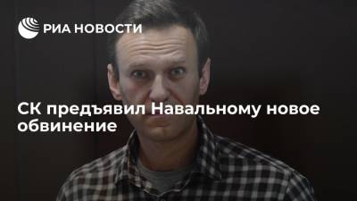 Алексей Навальный - Светлана Петренко - СК предъявил Навальному обвинение в создании организации, посягающей на права граждан - ria.ru - Москва - Россия