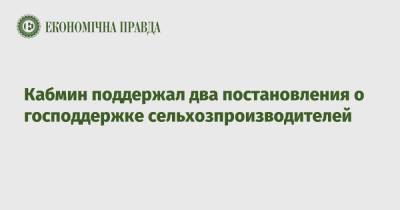 Кабмин поддержал два постановления о господдержке сельхозпроизводителей - epravda.com.ua - Украина - Аграрии