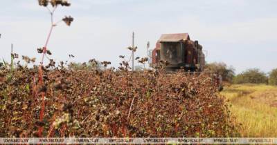 Денис Шмыгаль - Потерявшим урожай фермерам частично компенсируют потери, — Шмыгаль - focus.ua - Украина - Аграрии