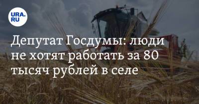 Депутат Госдумы: люди не хотят работать за 80 тысяч рублей в селе - ura.news