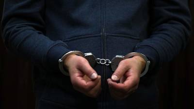 Сбежавших из зала суда в Ленинградской области братьев задержали - iz.ru - Ленинградская обл. - Израиль - Московская обл. - Истра