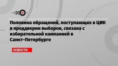 Элла Памфилова - Половина обращений, поступающих в ЦИК в преддверии выборов, связана с избирательной кампанией в Санкт-Петербурге - echo.msk.ru - Москва - Россия - Санкт-Петербург