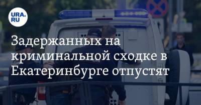 Задержанных на криминальной сходке в Екатеринбурге отпустят - ura.news - Екатеринбург