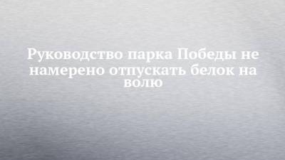 Руководство парка Победы не намерено отпускать белок на волю - chelny-izvest.ru - Набережные Челны - Казань - Рим