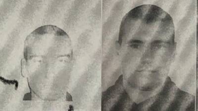 Двое братьев, сбежавших из суда после приговора в Выборге, находились дома - ivbg.ru - Украина - Рощино - Выборг