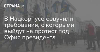 В Нацкорпусе озвучили требования, с которыми выйдут на протест под Офис президента - strana.ua - Украина - Крым