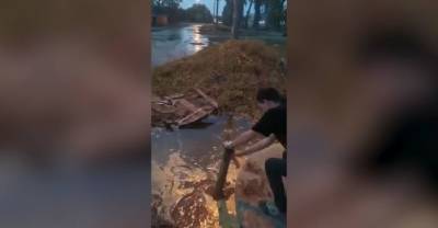 "Это идиоты!": Пятилетняя девочка едва не утонула в яме со сточными водами под Тулой - reendex.ru - Россия - Тула - Тульская обл.