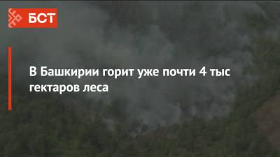 Фарит Гумеров - В Башкирии горит уже почти 4 тыс гектаров леса - bash.news - Башкирия