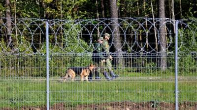 Латвия начала разворачивать прибывающих из Беларуси мигрантов на границе - golos-ameriki.ru - Белоруссия - Минск - Латвия - Reuters