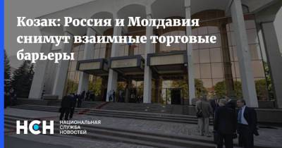 Дмитрий Козак - Майя Санду - Козак: Россия и Молдавия снимут взаимные торговые барьеры - nsn.fm - Россия - Молдавия
