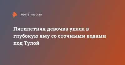 Пятилетняя девочка упала в глубокую яму со сточными водами под Тулой - ren.tv - Россия - Тула - Тульская обл.