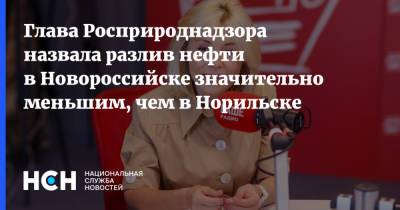 Светлана Радионова - Глава Росприроднадзора назвала разлив нефти в Новороссийске значительно меньшим, чем в Норильске - nsn.fm - Россия - Новороссийск - Норильск - Экология