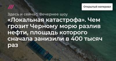 Виктория Абрамченко - «Локальная катастрофа». Чем грозит Черному морю разлив нефти, площадь которого сначала занизили в 400 тысяч раз - tvrain.ru - Россия