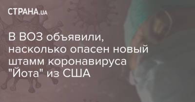 Мария Ван-Керкхове - В ВОЗ объявили, насколько опасен новый штамм коронавируса "Йота" из США - strana.ua - США - Украина - Нью-Йорк
