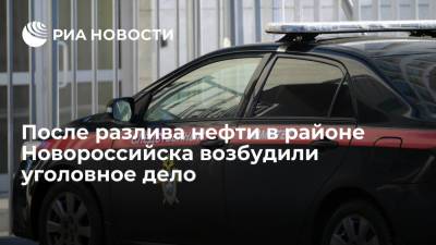Елена Марковская - Следователи возбудили дело о загрязнении морской среды из-за разлива нефти в районе Новороссийска - ria.ru - Москва - Россия - Новороссийск