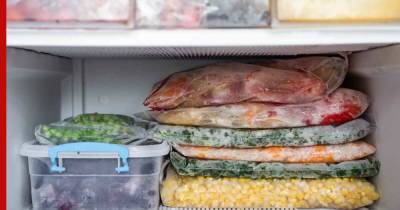 Сохраняем по-максимуму: как эффективно использовать морозильную камеру - profile.ru