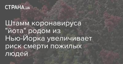 Штамм коронавируса "йота" родом из Нью-Йорка увеличивает риск смерти пожилых людей - strana.ua - США - Украина - Нью-Йорк - Нью-Йорк